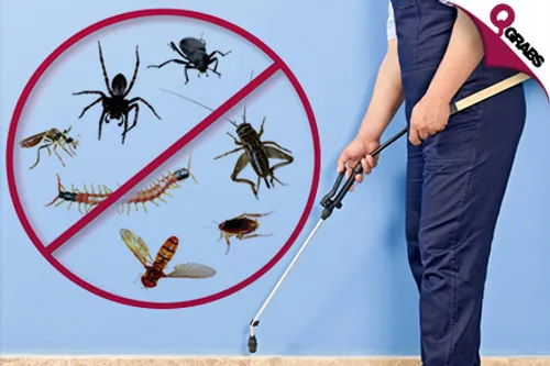 From QR100 Rid Your Home from Pests OR Bedbugs with Professional Pest Control Services! (Up to QR800 Value)